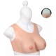 Brassiere Coton Bonnet C