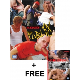 DVD Gay In Public Bonus 2-DVD-Set