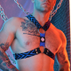 DICKMATIZED HARNESS Blue