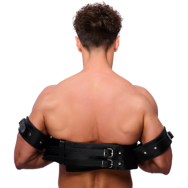 Leather arm/wrist and chest restraints