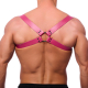 THE RED  HARNESS BLACK/PINK