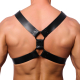 THE RED  HARNESS BLACK/BLACK