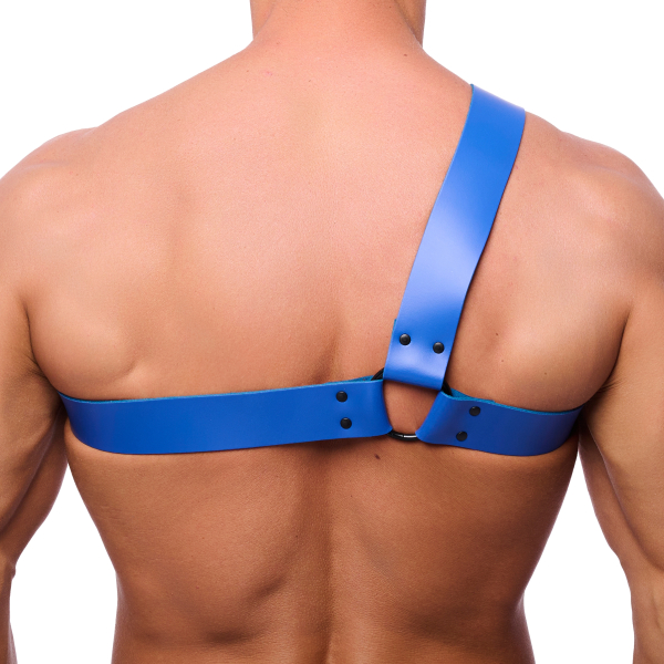 THE RED  HARNESS BLACK/BLUE