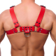 Leather Harness Buckle Red