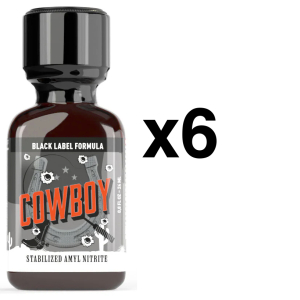 BGP Leather Cleaner COWBOY BLACK LABEL 24ml x6