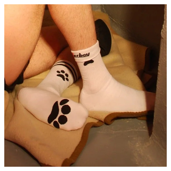 Chaussettes Sock PUPPY Sk8terboy