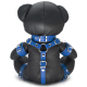 Ours en cuir EDDY The BDSM Teddy Bear Bleu + Boite