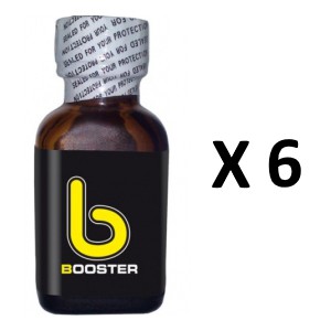 FL Leather Cleaner Bosster 25mL x6
