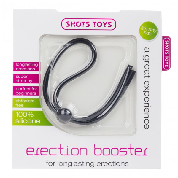 Adjustable erection ring