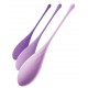 Kegel training kit Violet