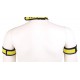 Yellow Neoprene PUPPY armbands