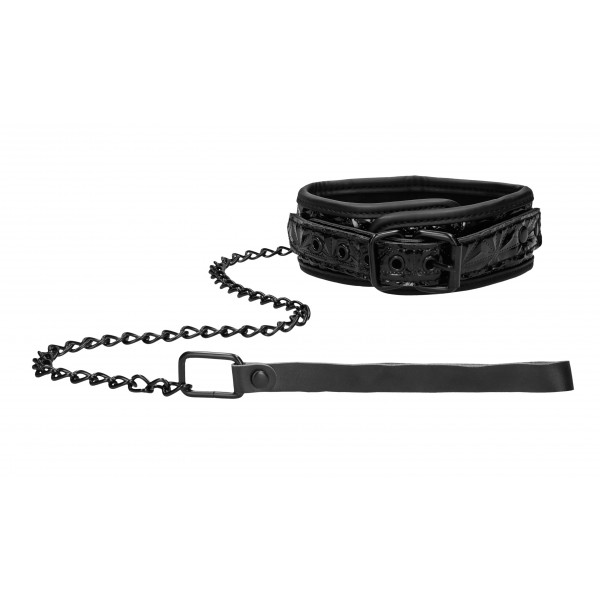 Luxury Black Collar and Lead